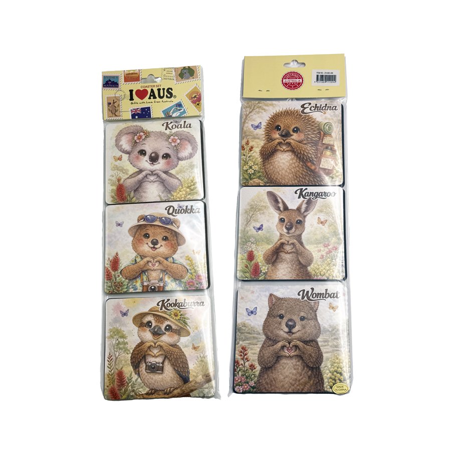 6PCS coasters set-AN