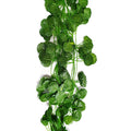 FOLIAGE - VINE 2M LONG LEAVES begonia leaves